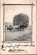! Alte Ansichtskarte Teneriffa, Tenerife, 1905, Deutsche Seepost Hamburg Südamerika XXXV - Tenerife