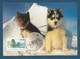 Australian Antarctic Territory 1994 Mi.Nr. 101 , The Last Huskie - Maximum Card - First Day Of Issue 13 January 1994 - Tarjetas – Máxima