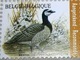 Belg. 2020 - La Bernache Nonnette ** (timbre Pour Recommandé)  - De Brandgans** Gratis Verzending (Envoi Gratuit) - Unused Stamps