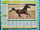 CALENDRIER DU FACTEUR ALMANACH CHEVAUX  PUR SANG ARABE POULAIN 1996 - Grand Format : 1991-00