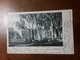 Cartolina Postale,  Postcard 1899, Mexico, Paseo De La Reforma - Messico