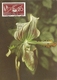 6706 " NATUR SCHUTZ WOCHE - 20/4/1957 - PAPHIOPEDILUM LAWRENCIANUM " FDC - 1e Dag FDC (vellen)