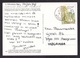 Portugal: PPC Picture Postcard To Netherlands, 1998, 1 Stamp, Flower From Madeira, Plant (traces Of Use) - Brieven En Documenten