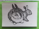 Couple De LAPINS LAPIN Rabbit , Dessin De M BRUYN Ou De Bruin , Ed Uitgave A Z , Nederland - Andere & Zonder Classificatie