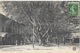 Valréas (Vaucluse) Cours Du Bertheuil, Sous Les Platanes - Edition C. Artige, Carte M.T.I.L. N° 2189 - Valreas