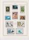 Delcampe - TRES BELLE COLLECTION DE TIMBRES DE POLYNESIE - Collections, Lots & Séries