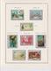 Delcampe - TRES BELLE COLLECTION DE TIMBRES DE POLYNESIE - Collections, Lots & Séries