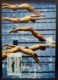 Olympic Games Sports Maximum Card 2015 Olympics Mark Spitz, Munich 1972, Hong Kong Swimming Type B - Cartes-maximum