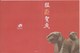 MACAU 2010 LUNAR YEAR OF THE TIGER GREETING CARD & POSTAGE PAID COVER FIRST DAY USAGE - Ganzsachen