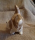 Delcampe - VTG USSR Soviet Konstantinovka DOG PUPPY Collectibles Animals Figurine Marked - Other & Unclassified