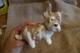 Delcampe - VTG USSR Soviet Konstantinovka DOG PUPPY Collectibles Animals Figurine Marked - Altri & Non Classificati