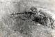 Photo Originale Guerre 1939/45 Camouflage & Soldat Avec Pistolet Mitrailleur Allemand MG 34, Calibre 7,92 X 57, 50 Coups - Guerre, Militaire