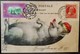 Year Of The Pig Maximum Card MC Hong Kong 2019 12 Chinese Zodiac Type J - Maximumkarten