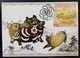 Year Of The Pig Maximum Card MC Hong Kong 2019 12 Chinese Zodiac Stamp From Special Stamp Sheetlet Type O - Cartoline Maximum