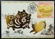 Year Of The Pig Maximum Card MC Hong Kong 2019 12 Chinese Zodiac Stamp From Special Stamp Sheetlet Type O - Maximumkarten
