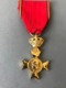 Médaille Les Vétérans Du Roi Albert (Provenant Du Cadre Vitrine Fabriqué Par Le Propriétaire Qui était Sculpteur JT... - Autres & Non Classés