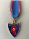 Médaille F N C R  (Provenant Du Cadre  Fabriqué  Par Le Propriétaire Qui  était Sculpteur JT... - Autres & Non Classés