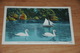 3129-           CANADA, NOVA SCOTIA, HALIFAX, PUBLIC GARDENS, THE SWANS - 1942 - Halifax