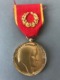 Médaille Société Industrielle De L'Est M.J. THOUVIGNON (Provenant Ducadre Fabriqué Le Propriétaire était Sculpteur JT... - Other & Unclassified