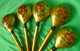 Vintage RUSSIAN Folk Art KHOKHLOMA Hand PAINTED Wooden Spoon 5psc Soviet Cutlery - Cucharas