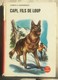 Ancien Livre Jeunesse CAPI Fils De Loup Chipperfield 1956 Les Preses De La Cité - Bibliothèque Rouge Et Or