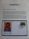 Delcampe - Wereld Unicef / Verenigde Naties Mostly Only Pages With Stamps Photographed - Sammlungen (im Alben)