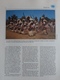 Delcampe - Wereld Unicef / Verenigde Naties Mostly Only Pages With Stamps Photographed - Sammlungen (im Alben)