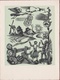 Geboortekaartje 1951 Carte Faire Part De Naissance Birth Geburtsanzeige Illustrator Houtsnede Charles Hartmann Marckx - Nacimientos