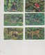 THE JUNGLE COLLECTION MERCURYCARD - Collections