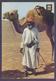 UAE United Arab Emirates - Old Picture POST CARD On Traditional Camel Man, Unused - United Arab Emirates