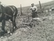 Delcampe - ANCIENNE TECHNIQUE AGRICOLE LABOURAGE CHAMP CHEVAL DE TRAIT HOMME FERMIER MÉTIER MILITAIRE ? BELGIQUE 7 PHOTOS - Métiers