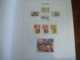 Collection Netherlands In DAVO LUXE Album 1996 Till 1999 MNH Including Extra Sheets - Verzamelingen