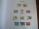 Delcampe - Collection Netherlands In DAVO LUXE Album 1996 Till 1999 MNH Including Extra Sheets - Verzamelingen