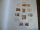 Delcampe - Collection Netherlands In DAVO LUXE Album 1996 Till 1999 MNH Including Extra Sheets - Verzamelingen