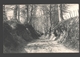 Tervuren / Tervueren - Chemin Creux - éd. Lagaert - 1907 - Tervuren