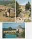 20/ 3 / 392  -  ELEVAGE  DES  MOUTONS  - LOT  DE  14. CPM - TOUTES SCANÉES - 5 - 99 Cartes