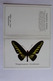 Petit Calendrier 1986  Papillon TROGONOPTERA BROOKIANA - Petit Format : 1981-90