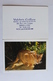 Petit Calendrier 1995 Offert Par Valchris Coiffure LYON  UN CHAT - Small : 1991-00