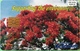 MAURICE  -  Phonecard  - " The Flamboyant Tree "  -  240 Units  -  R 200.00 - Mauritius