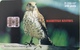 MAURICE  -  Phonecard  - Mauritius Kestrel  -  240 Units  -  R 200.00 - Mauritius