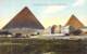 Cairo - Hotel Mena House And The Pyramides - Kairo