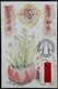 Festive Customs Putting Up Spring Festival Scrolls Chinese New Year 2018 Hong Kong Maximum Card MC (Pictorial Postmark) - Cartoline Maximum