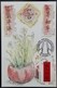 Festive Customs Putting Up Spring Festival Scrolls Chinese New Year 2018 Hong Kong Maximum Card MC (Pictorial Postmark) - Maximumkaarten