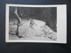 Delcampe - Ansichtskarten Böhmen Und Mähren 1942 / 43 Viele Verschiedene Stempel Und Karten! 36 Stück! Auch Ein Mitläufer Aus 1939 - Sammlungen (ohne Album)