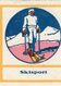 9 Poster Stamps Advertising Cinderellas Sport Ski Skiing Schweiz Wintersport Snow Humor Graubünden Bayer 1914 Innsbruck - Winter Sports
