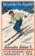 Delcampe - 9 Poster Stamps Advertising Cinderellas Sport Ski Skiing Schweiz Wintersport Snow Humor Graubünden Bayer 1914 Innsbruck - Wintersport