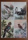 Birds. Set Of 23 Postcards. - Birds