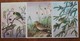 Delcampe - Birds. Set Of 23 Postcards. - Birds