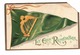 "Let Erin Remember", St. Patrick's Day, 1910 Postcard By Signed Artist Ellen Clapsaddle, AS IS - Clapsaddle