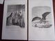 Delcampe - Bon Lot De 10 Gravures Contes Pour Enfants. Staal, Pizzatta, Etc ..1860 - Lithographies